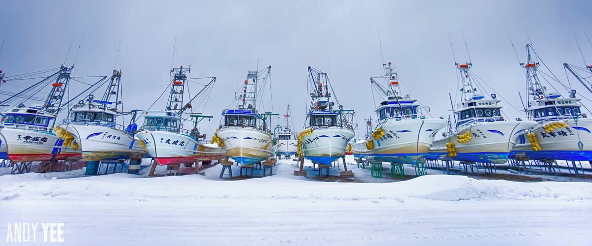 Several fishing boats docked in a snowy harbor.