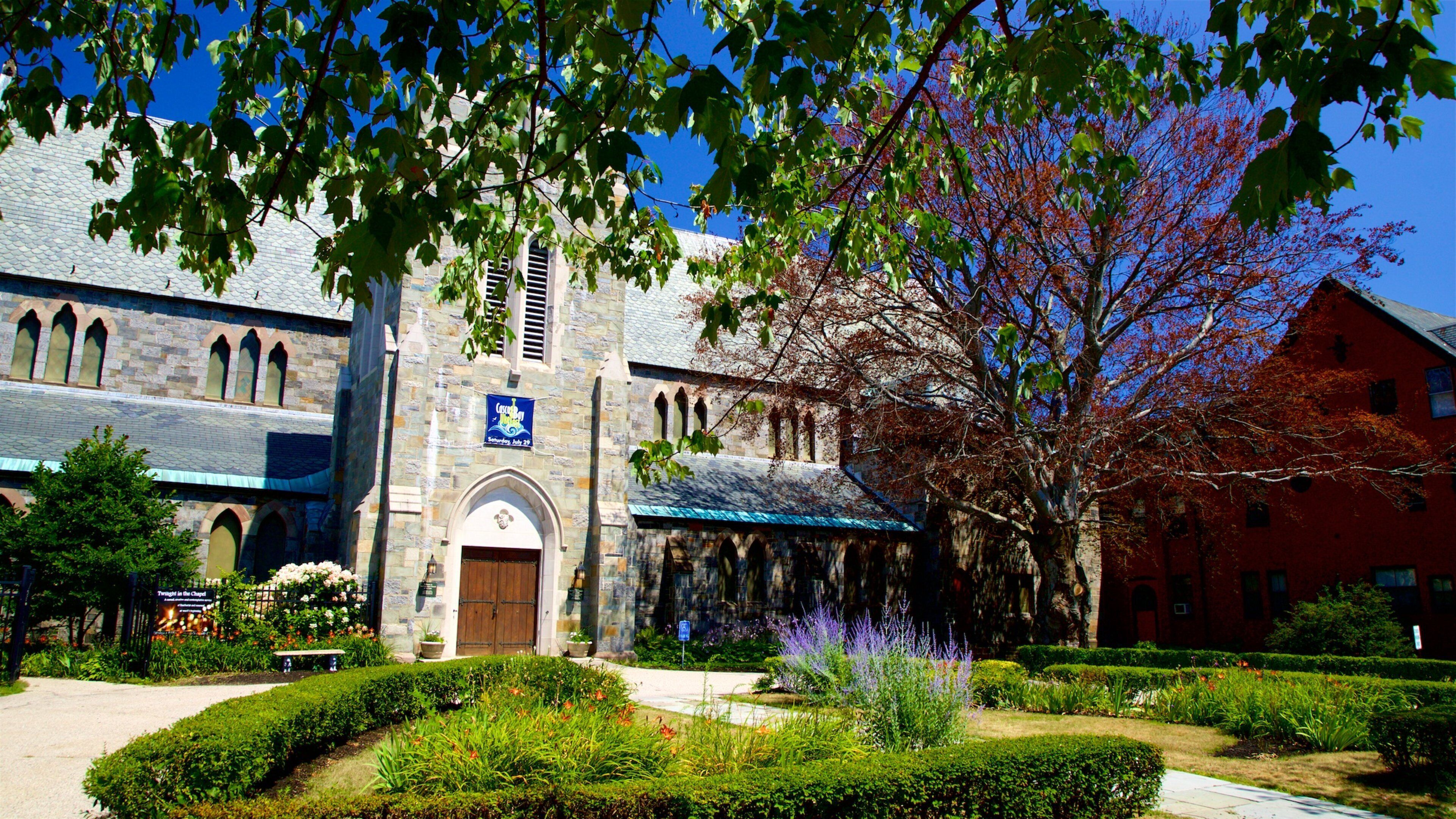 Lukaskatedralen som viser park og historisk arkitektur