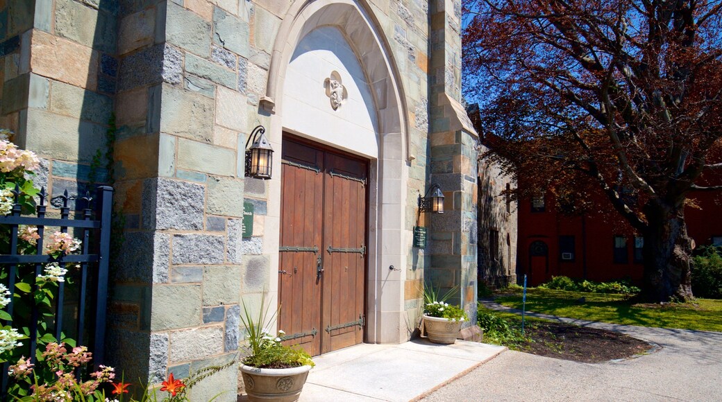 Cathedral Church of Saint Luke showing a church or cathedral