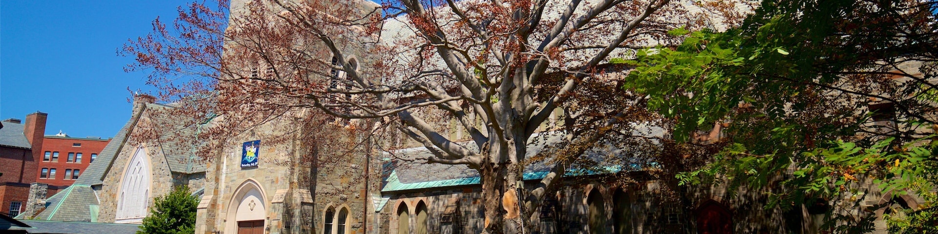 Cathedral Church of Saint Luke showing a church or cathedral