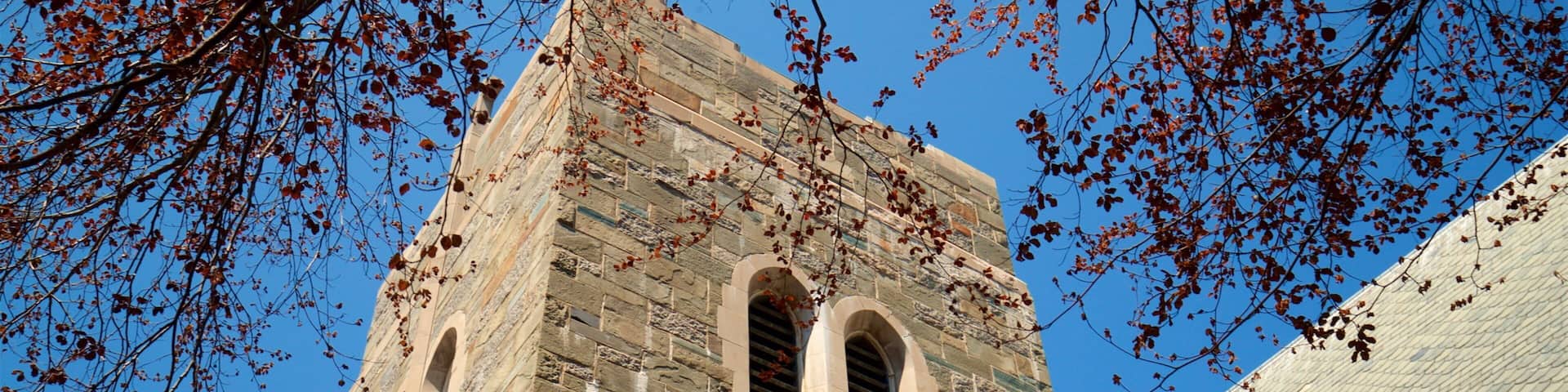 Cathedral Church of Saint Luke mettant en vedette patrimoine historique