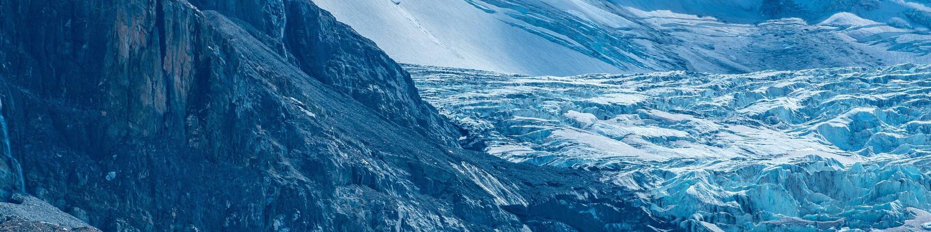 Columbia Icefield featuring snow