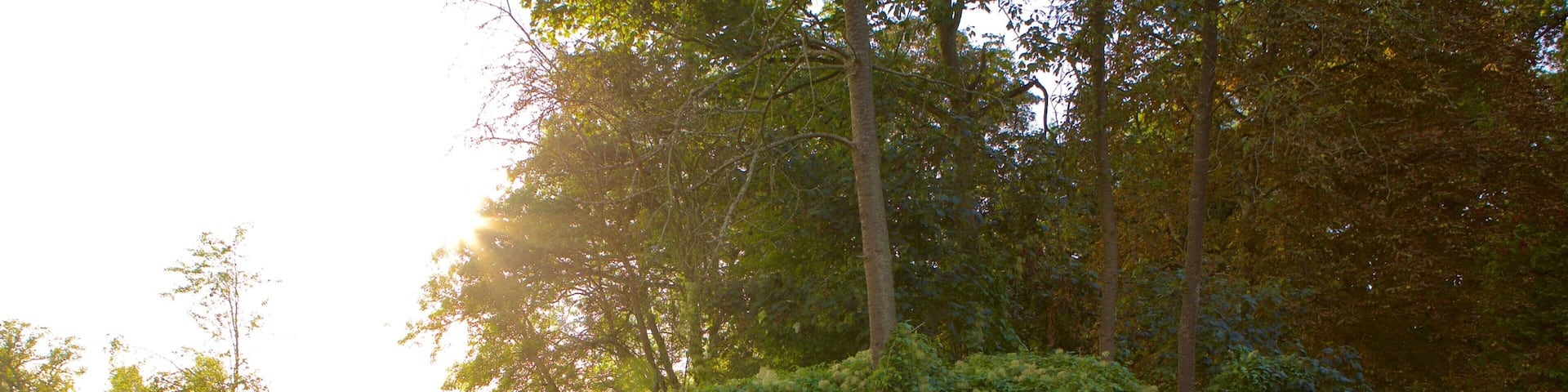 Oxford que incluye animales del zoológico y señalización