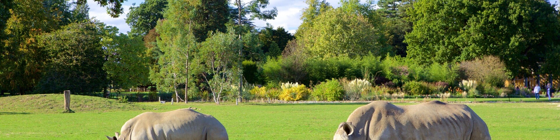 Oxfordshire showing zoo animals and dangerous animals