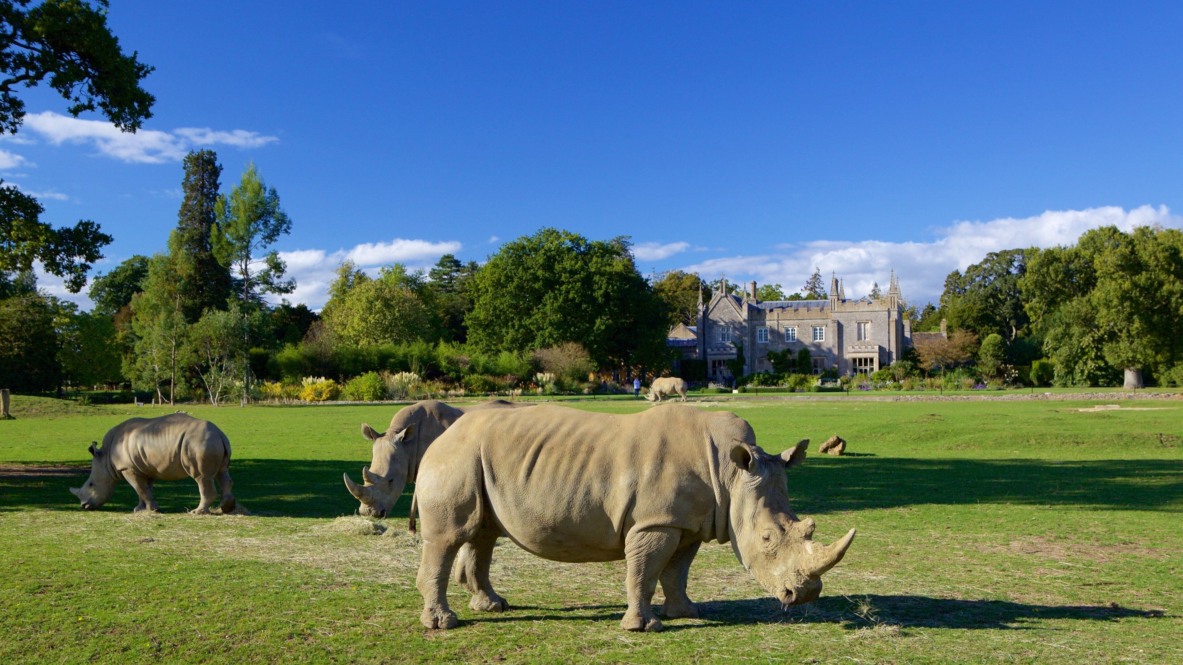 Cotswold Wildlife Park featuring zoo animals, a park and dangerous animals