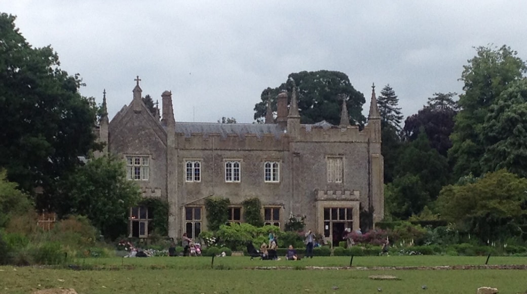 Animals from all around the world live here.