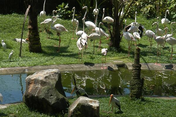 レイク ガーデン フィーチャー 公園, 湖あるいは泉 と 静かな風景