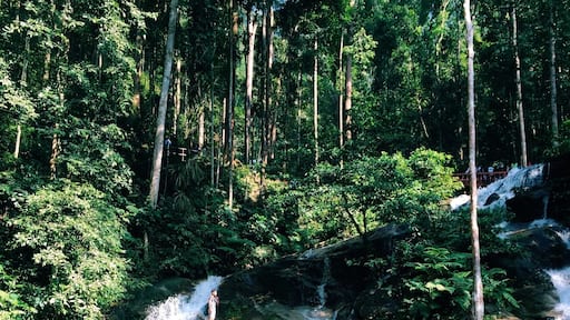Nice waterfall to visit if only it's clean. I wish visitors are more civic minded and the operator more diligent in keeping this place clean. After all we paid entrance fees.