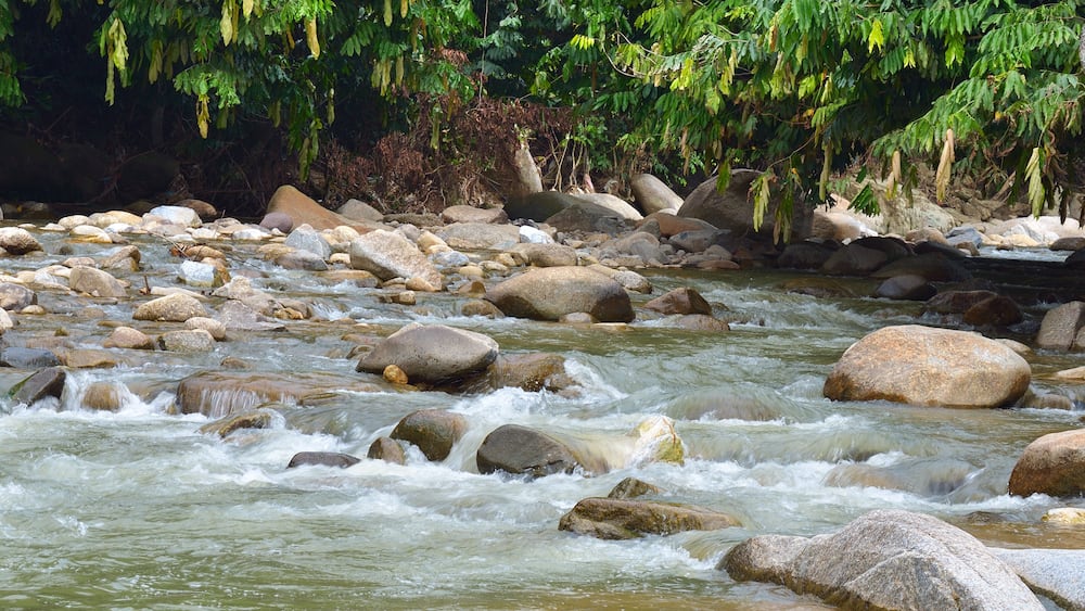 Janda Baik river , Malaysia..