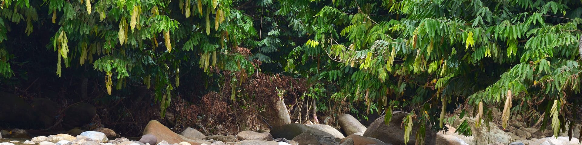 Janda Baik river , Malaysia..