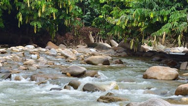 Janda Baik
