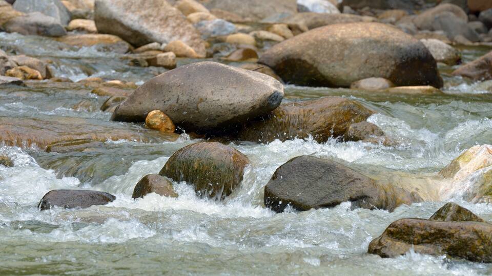 A river with clear water flowing over rocks.