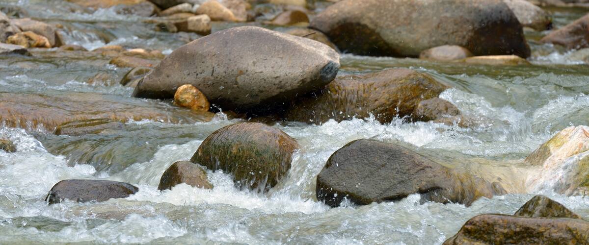 A river with clear water flowing over rocks.