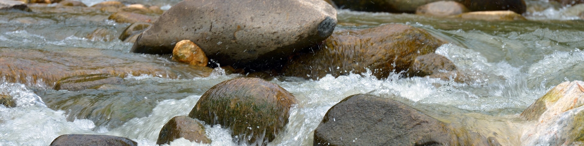 A river with clear water flowing over rocks.