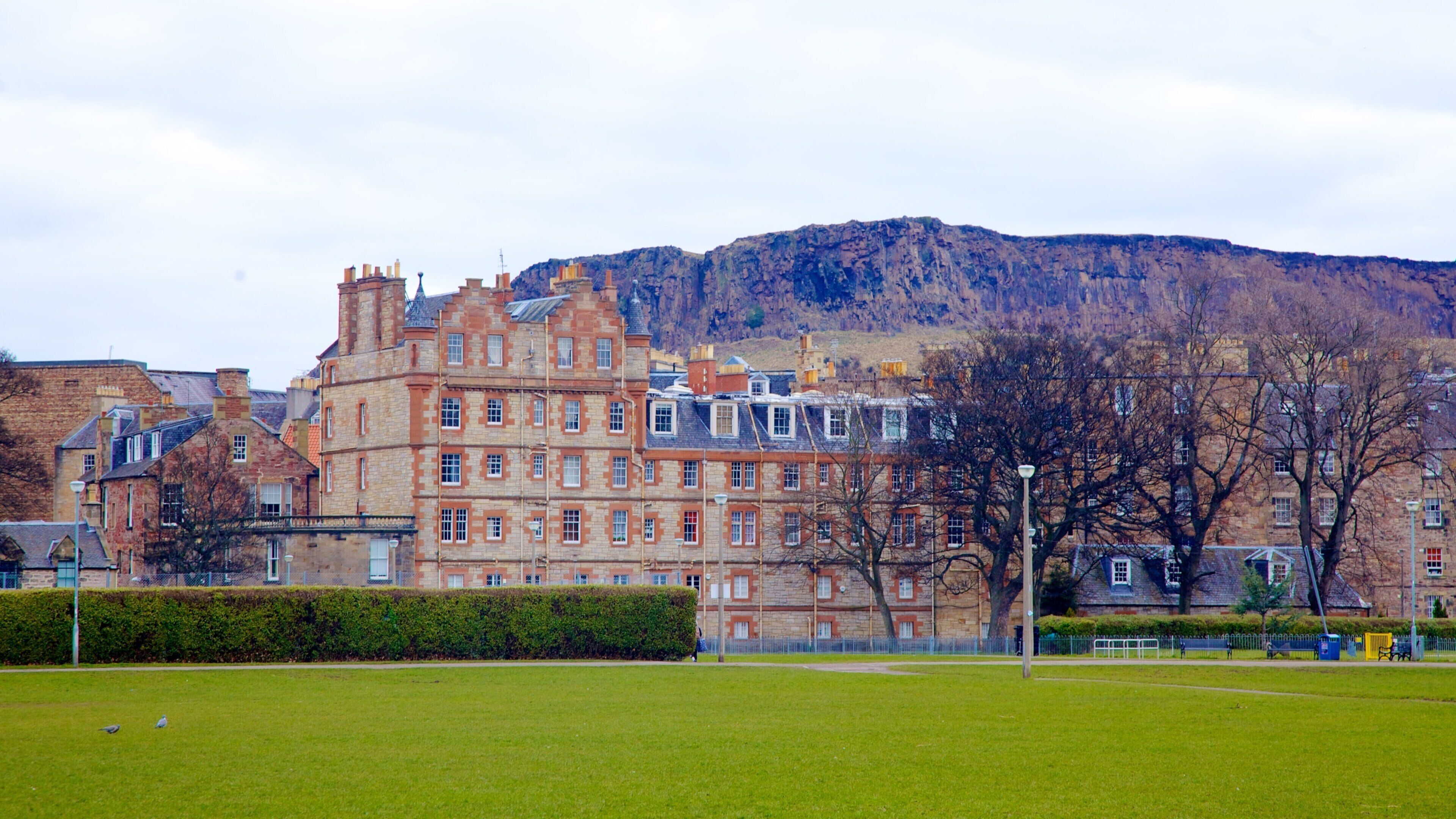 The Meadows featuring heritage elements