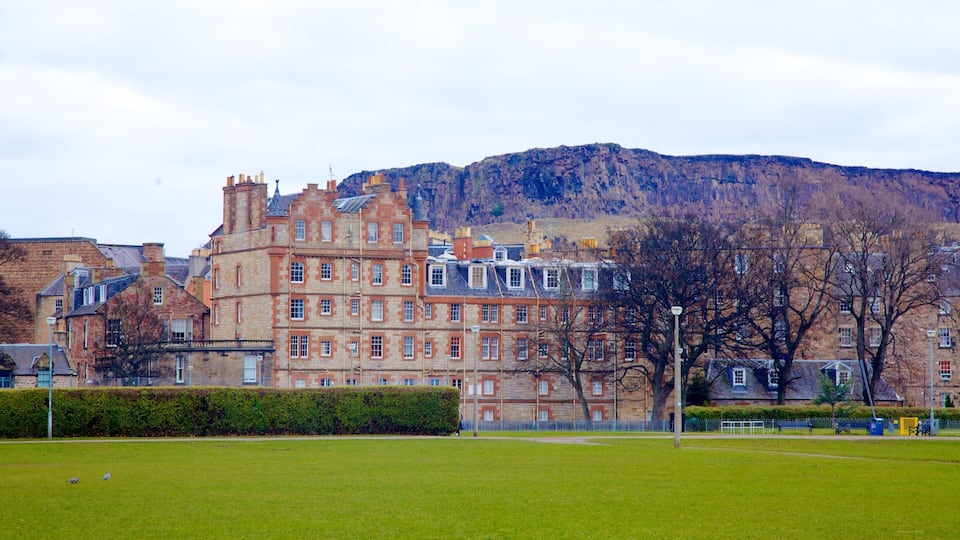 Parque Meadows mostrando elementos de patrimônio