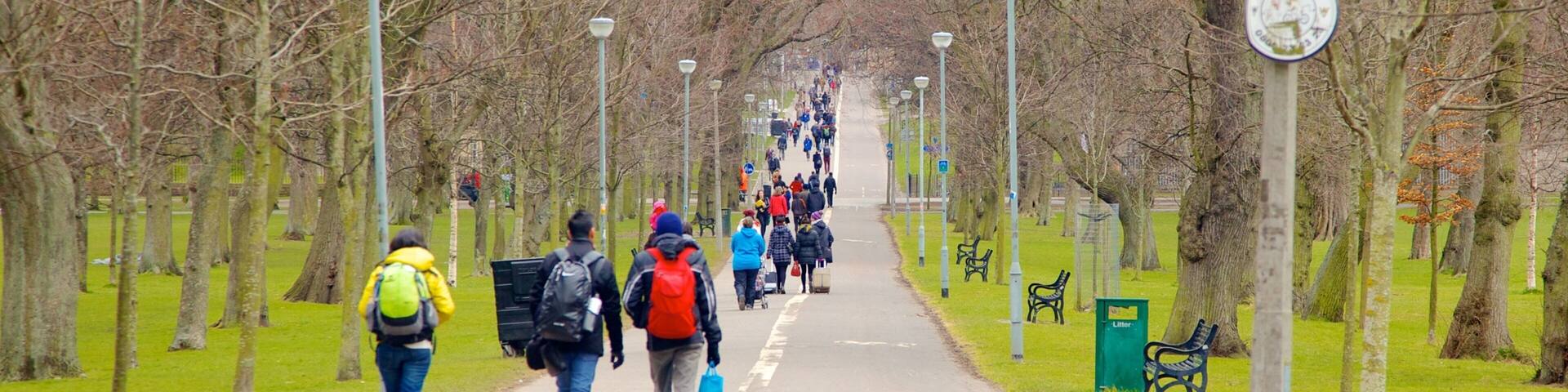 The Meadows showing hiking or walking and street scenes as well as a small group of people