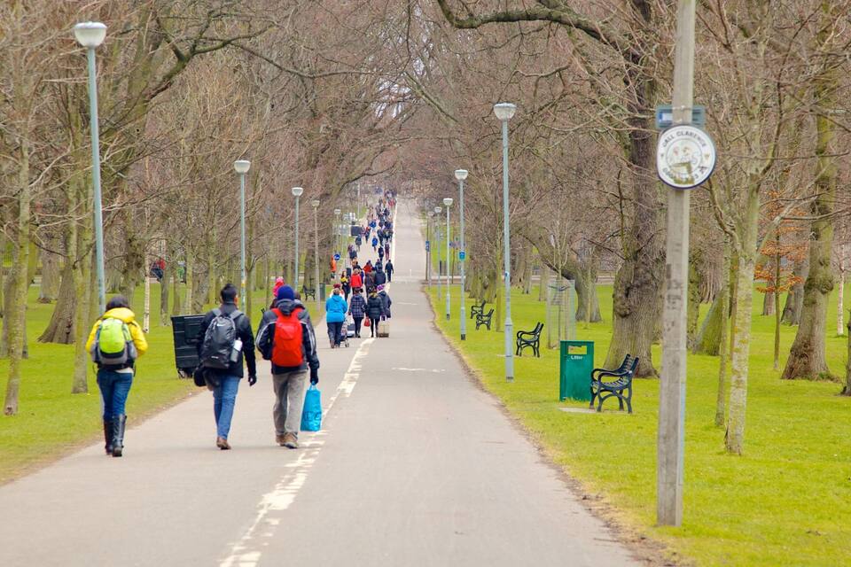 Een pad omzoomd door bomen, met mensen die wandelen, bankjes en lantaarns.