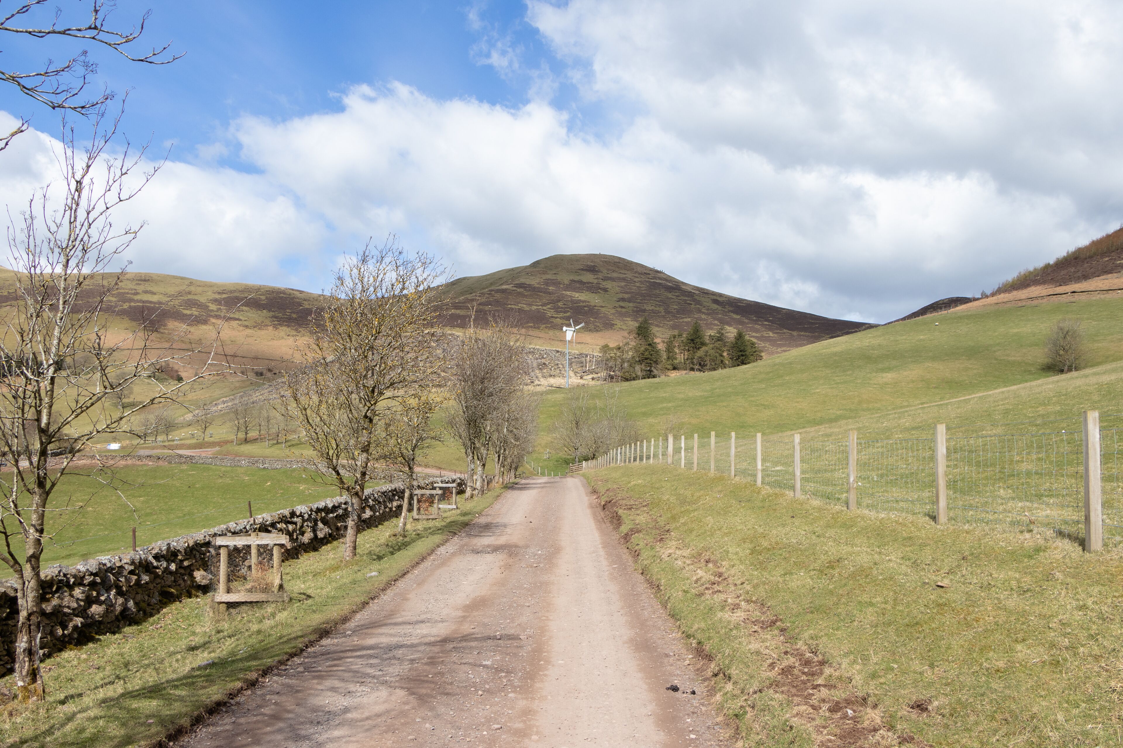 Scottish nature and farm life: Pentland Hills Regional Park, Silverburn, Penicuik, Scotland