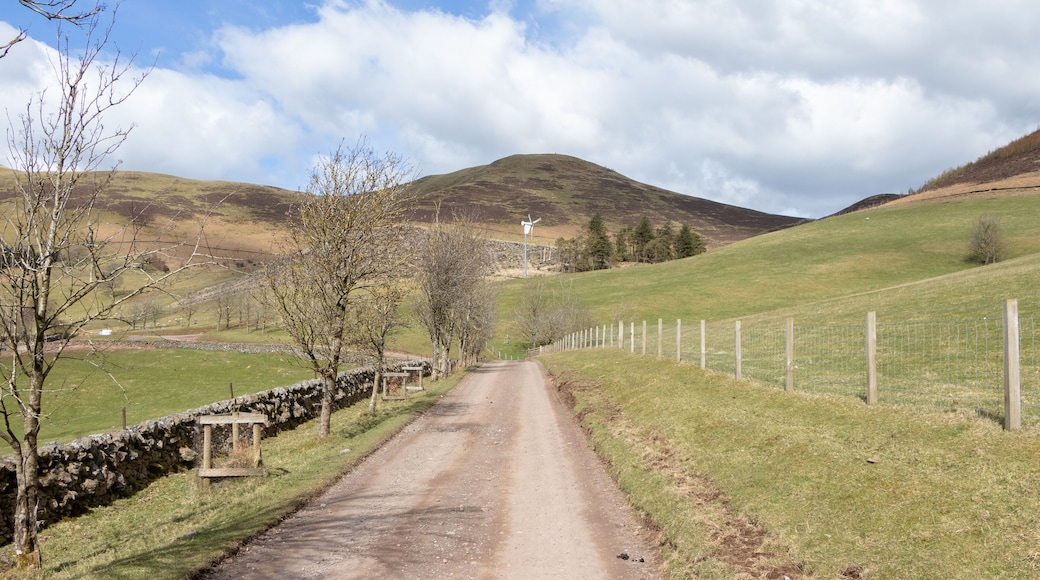Scottish nature and farm life: Pentland Hills Regional Park, Silverburn, Penicuik, Scotland