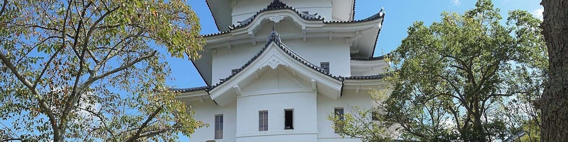 Iga Ueno Catsle , 伊賀上野城