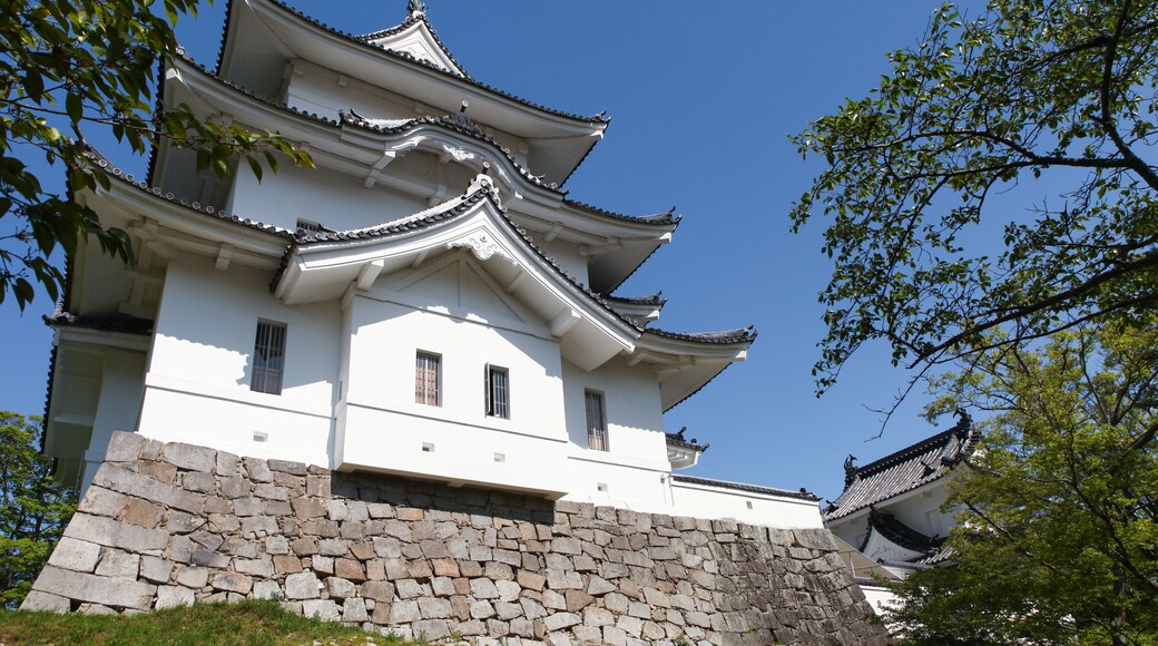 The original Ninja castle of Iga Ueno