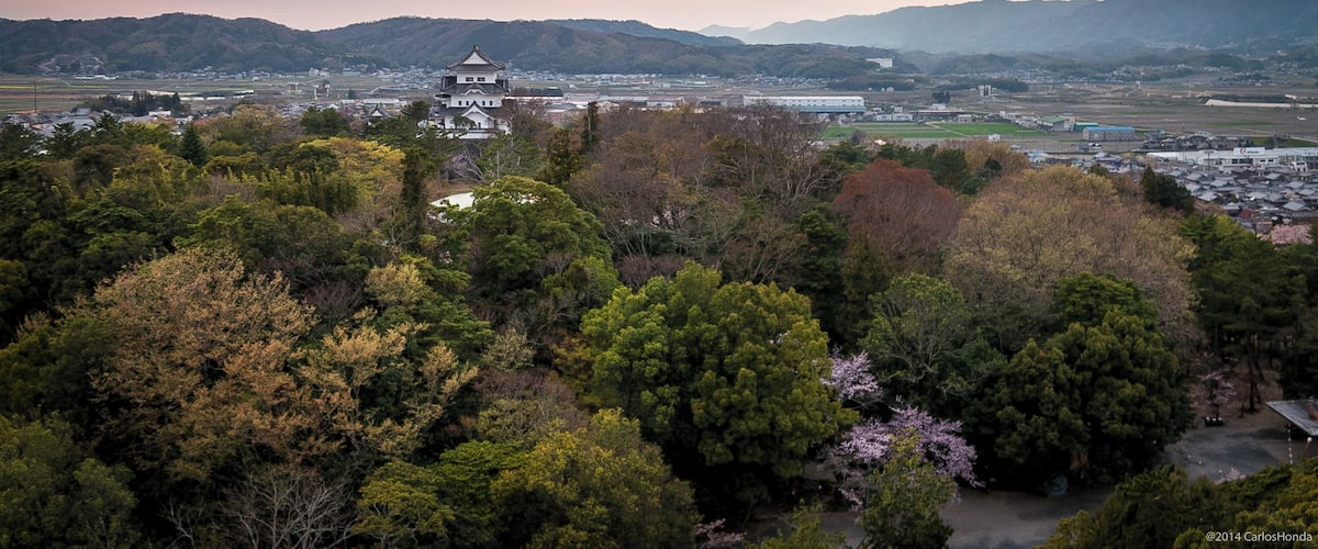 140412-1652 Ueno Park, Iga