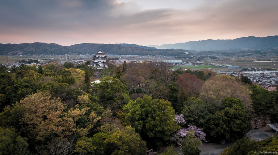 140412-1652 Ueno Park, Iga