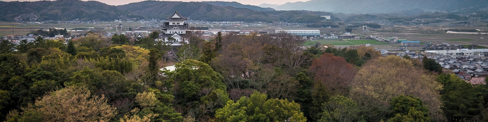 140412-1652 Ueno Park, Iga