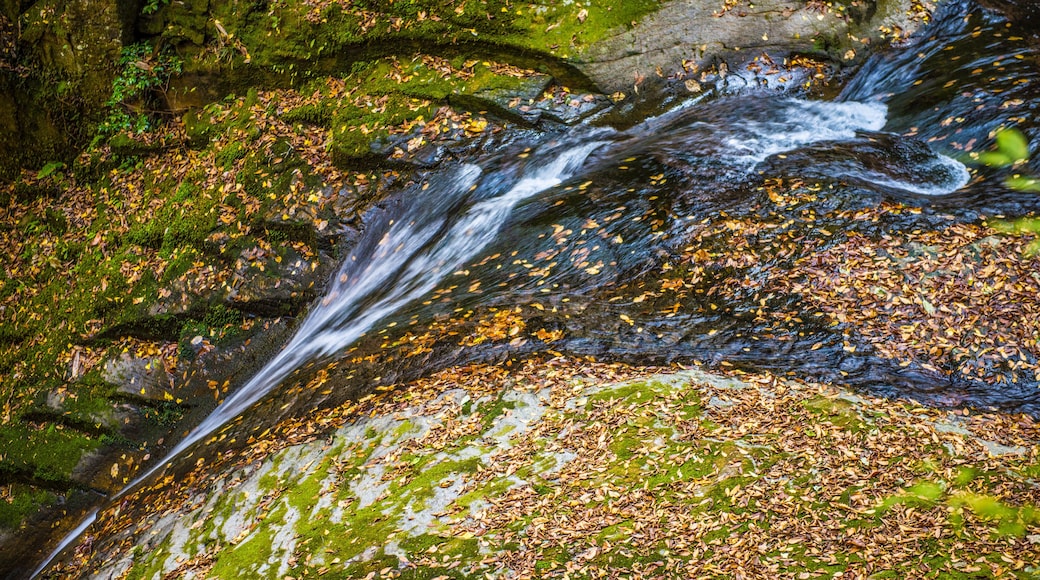 Akame Creek in Nabari, Mie, Japan