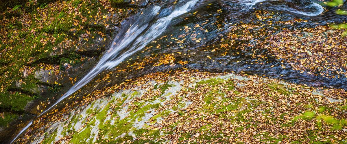 A waterfall flowing over moss-covered rocks with scattered autumn leaves.