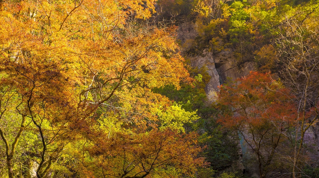 Akame Creek in Nabari, Mie, Japan