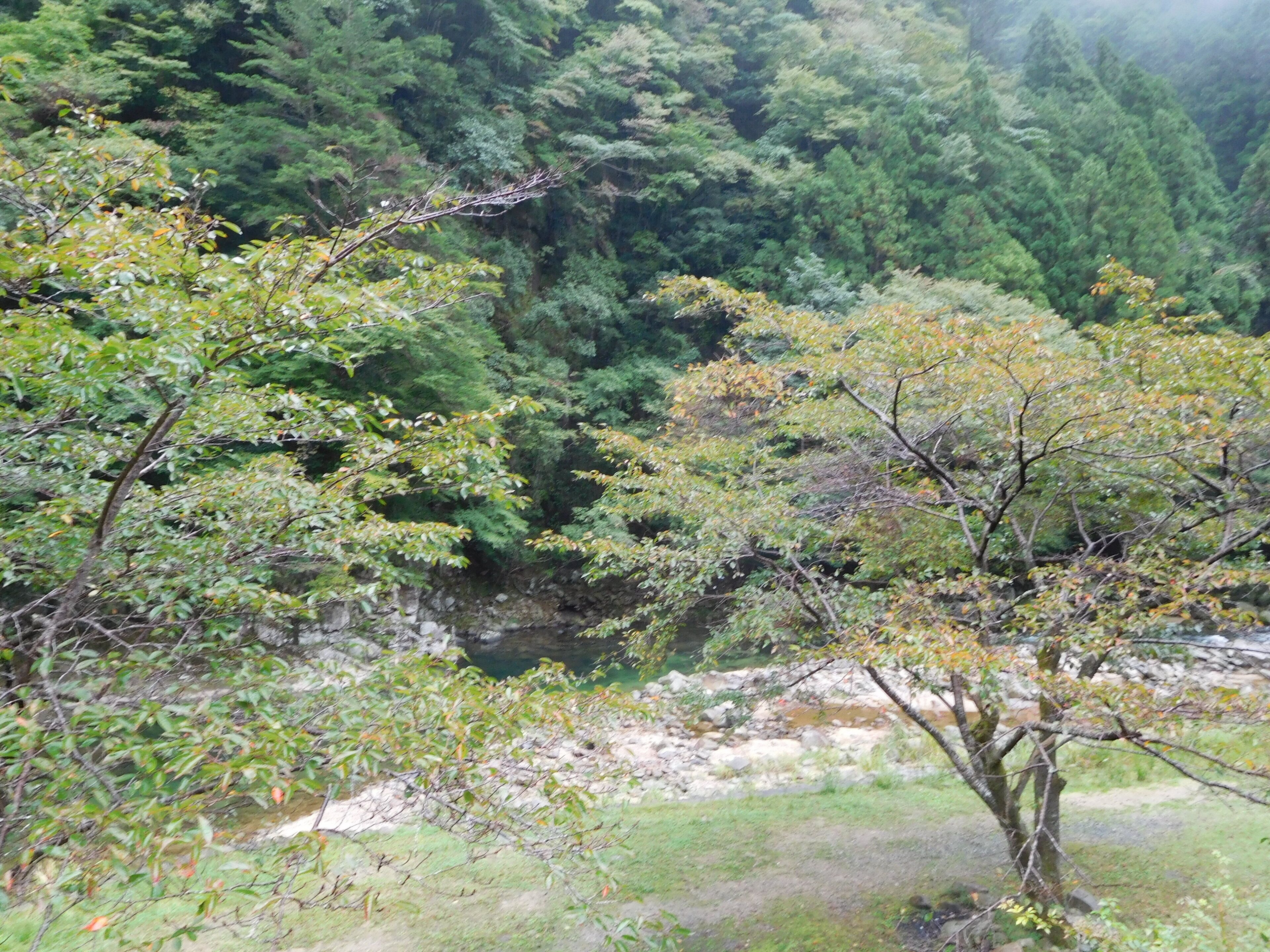 This is a landscape of Momiji valley in Kaochidani, Nabari, Mie, Japan.