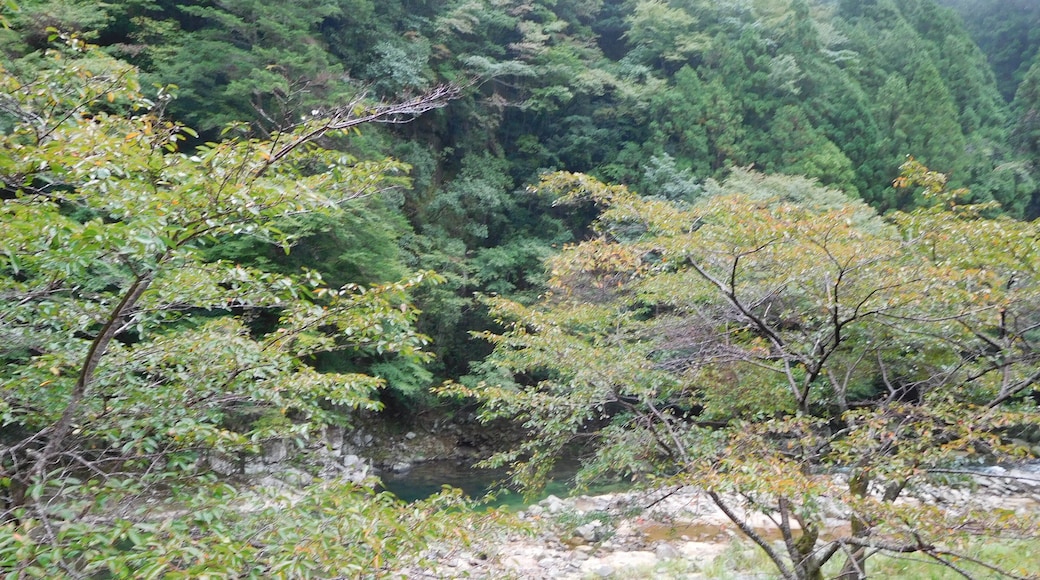 This is a landscape of Momiji valley in Kaochidani, Nabari, Mie, Japan.