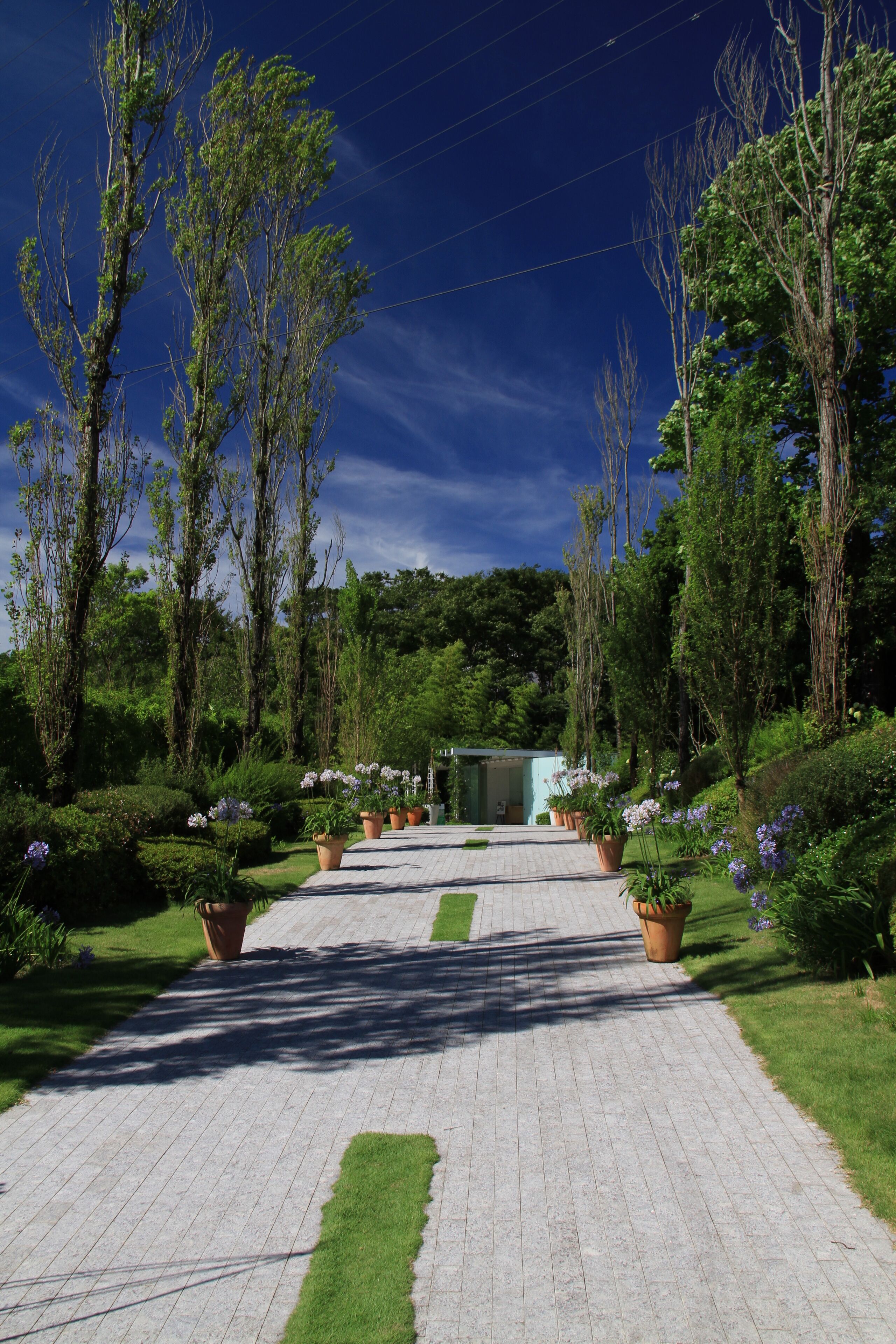 Higashino, Nagaizumi, Sunto District, Shizuoka Prefecture 411-0931, Japan