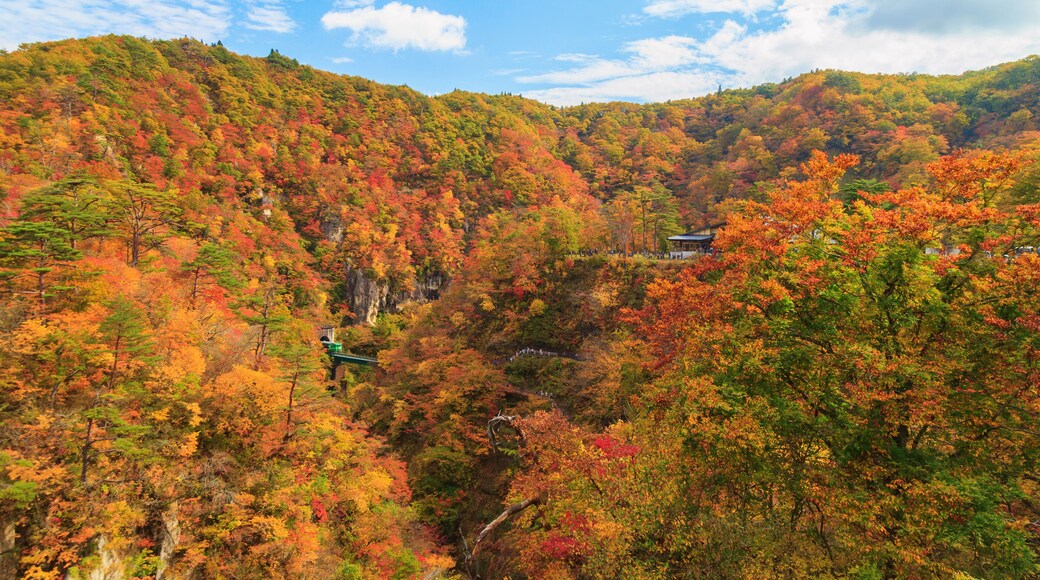 Ishinomaki