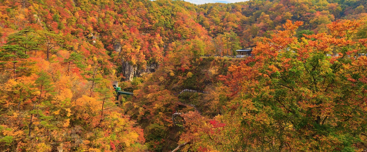 A mountainous landscape with autumn foliage, a winding path, and traditional architecture.