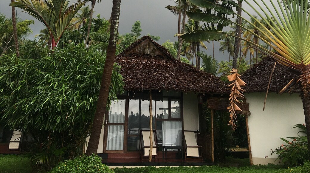 Malabar Monsoon Adventures
More at MariaDassTheWorld: https://wp.me/p7CVI8-1Sy