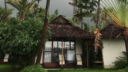 Malabar Monsoon Adventures
More at MariaDassTheWorld: https://wp.me/p7CVI8-1Sy