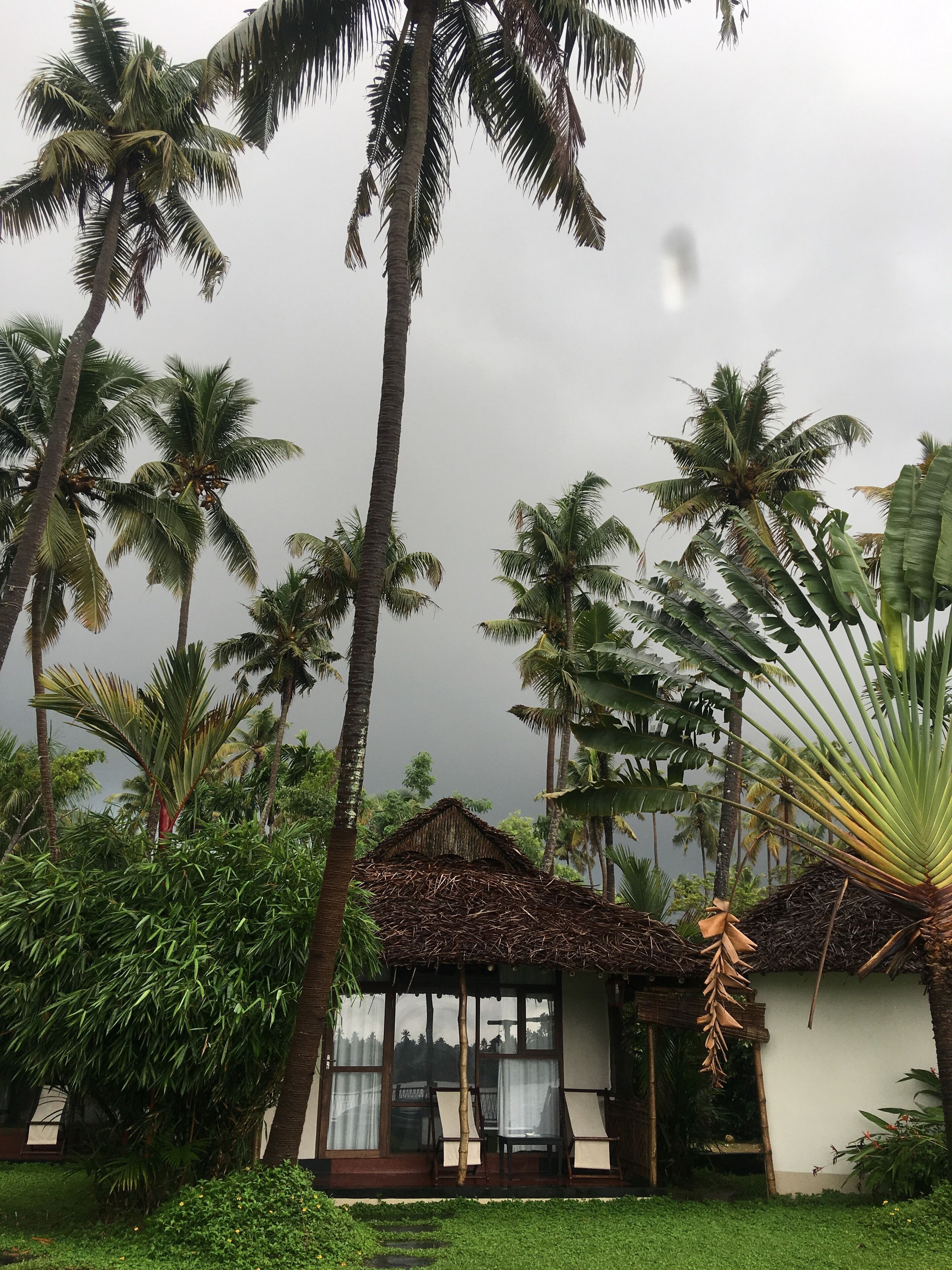 A tropical resort with palm trees, a thatched-roof hut, and a lush garden.