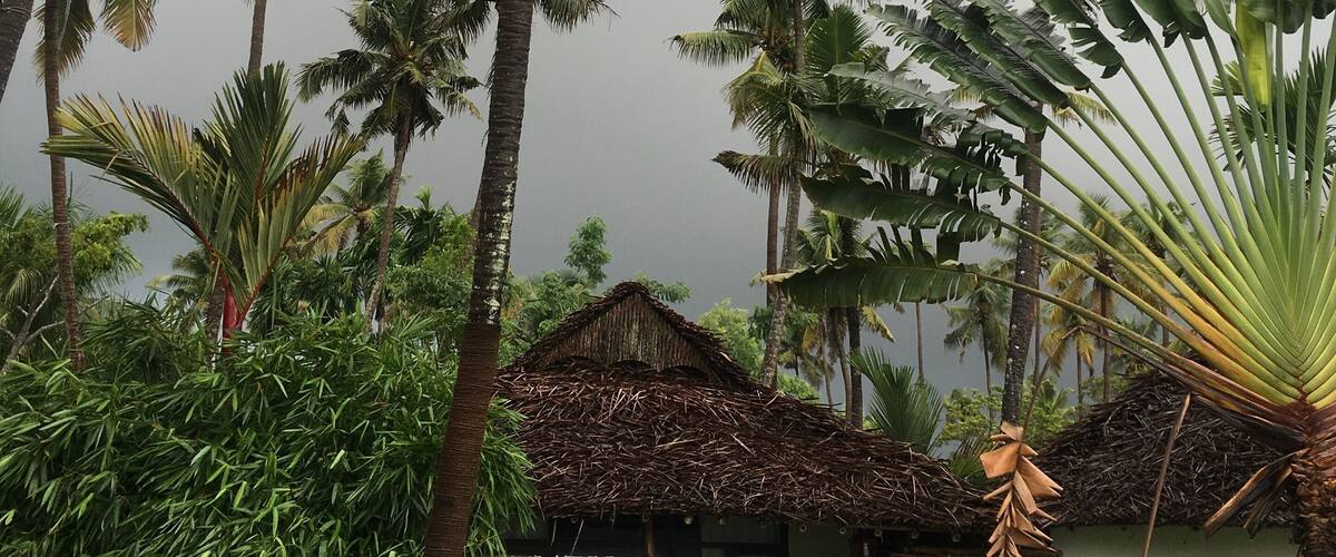 A tropical resort with palm trees, a thatched-roof hut, and a lush garden.
