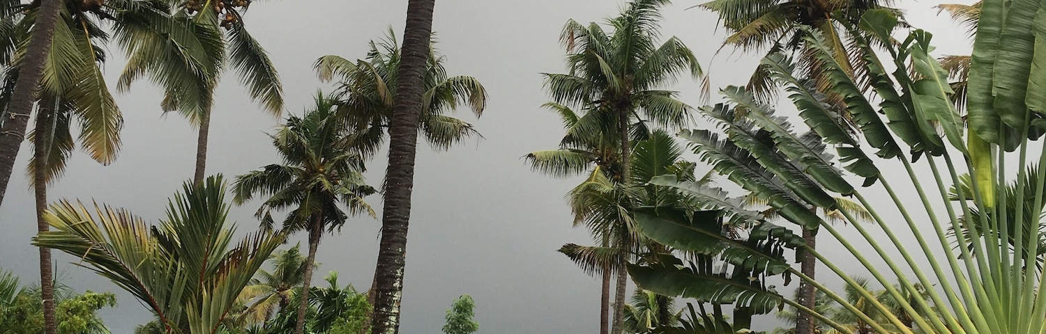 A tropical resort with palm trees, a thatched-roof hut, and a lush garden.