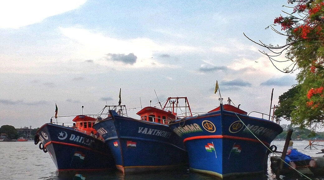 Colourful fishing boats at Vypin