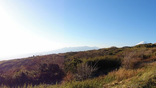 芦ノ湖スカイライン