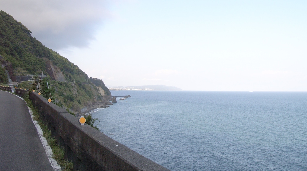 県道416号線から見る駿河湾