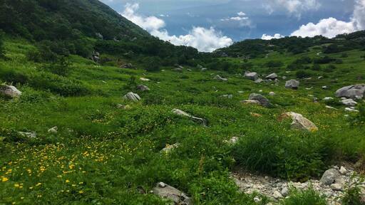 Never get bored of this view #Japan