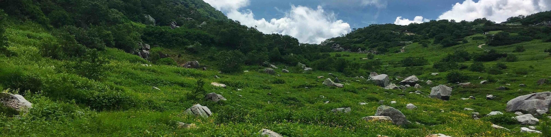 Never get bored of this view #Japan