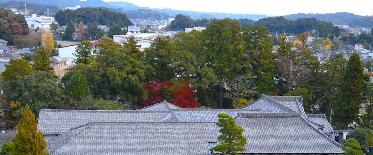 A traditional Japanese building with a tiled roof, surrounded by trees and a view of a town in the background.