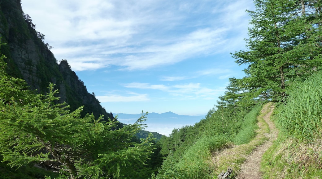 浅間山(前掛山登山道)と遥かに蓼科山山頂