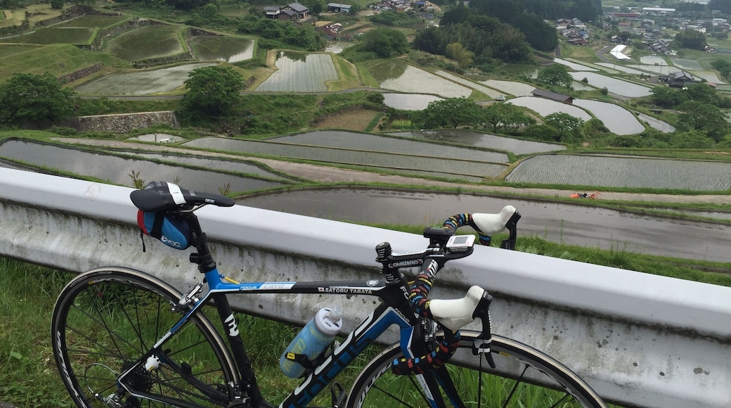 日本の棚田100選
坂折の棚田